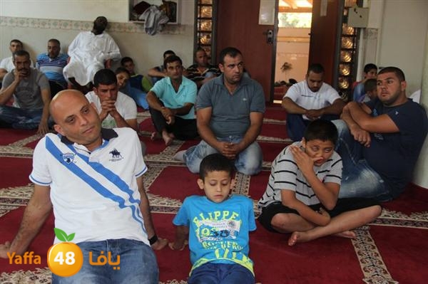 mayef abo ganem 0524 (19).JPG